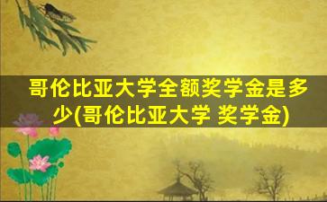 哥伦比亚大学全额奖学金是多少(哥伦比亚大学 奖学金)